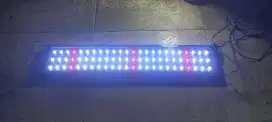 Lampu LED aquarium YANG