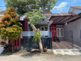 Rumah Luas 98 Cluster Kepuharjo Dekat NK Cafe