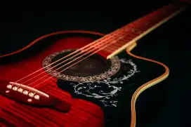 Gitar aria korea bukan takamine