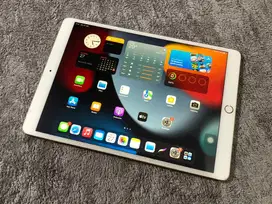 ipad pro 10.5 inch 256GB LEGA UNLOCK MDM wifi only NORMAL 3utools 98%