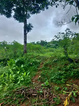 TANAH 1 HA KEC.PARANGLOE DESA BELAPUNRANGA