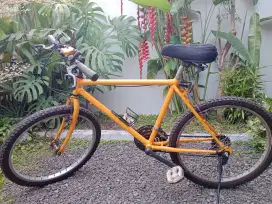 Sepeda Gunung Olympic