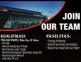 Marketing Executive Mitsubishi