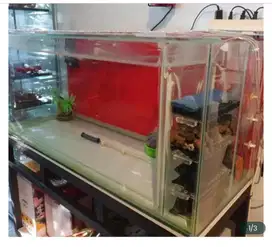 AQUARIUM JUMBO ex Arwana FullSet + MEJA BESI