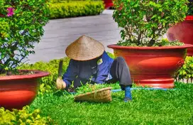 Tukang taman dapat makan + kopi