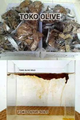 Daun Ketapang Laut Siap Pakai ,Harga Perbungkus (TIDAK COD/TIDAK KIRIM