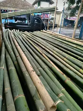 Bambu perbatang