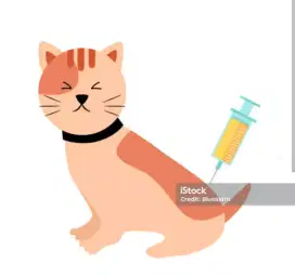 Suntik kutu jamur khusus kucing panggilan all kota kab bandung