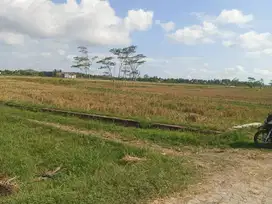 Tanah Sawah Lokasi Strategis Di Sleman Yogyakarta