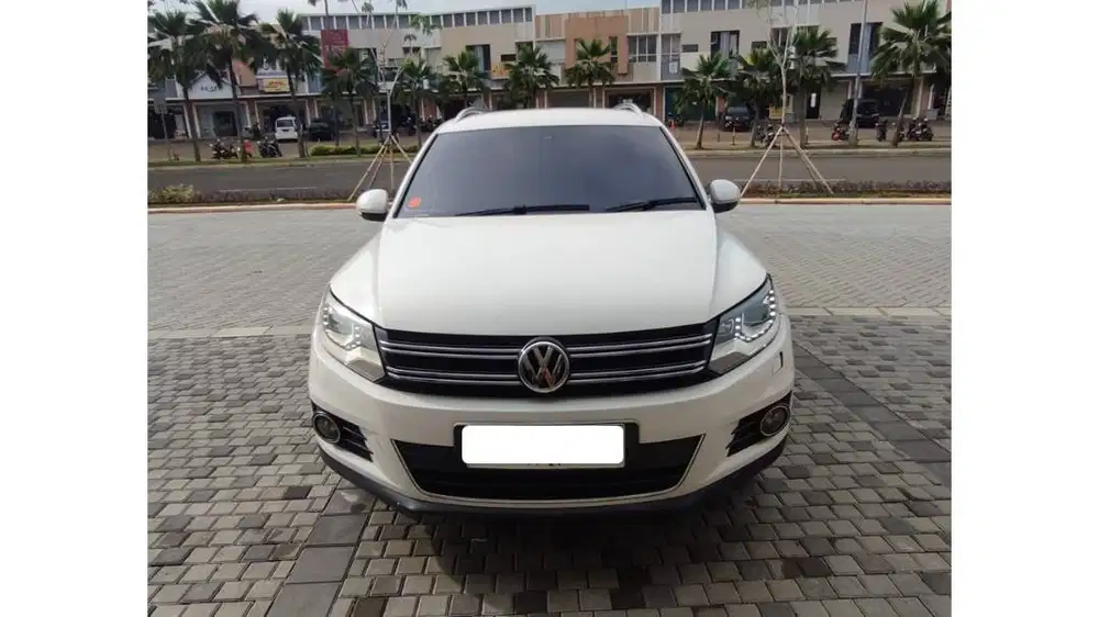 Volkswagen Tiguan (2013)