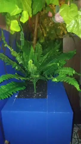 Pohon pakis plastik artifisial