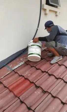 Sedia atap bocor renovasi rumah pengecatan plafon PVC dll