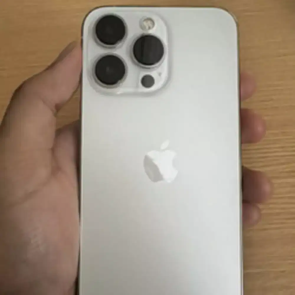 iPhone 13 Pro 128GB Silver Second Mulus Perfect