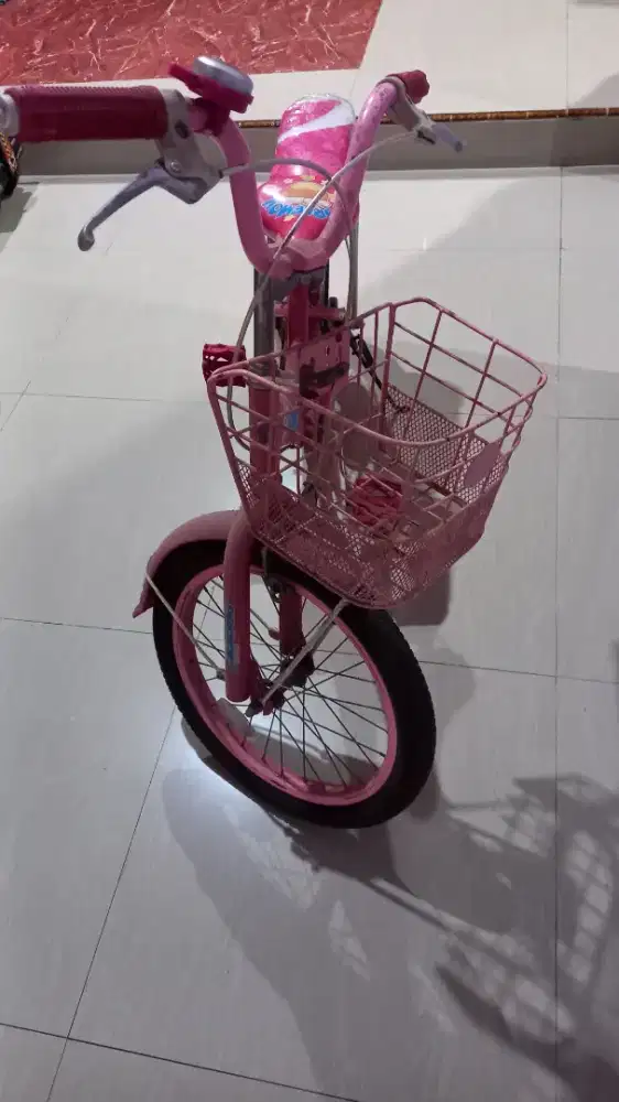 Dijual sepeda anak perempuan