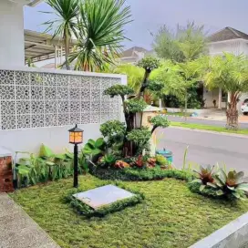 Tukang rumput gajah mini di sukabumi