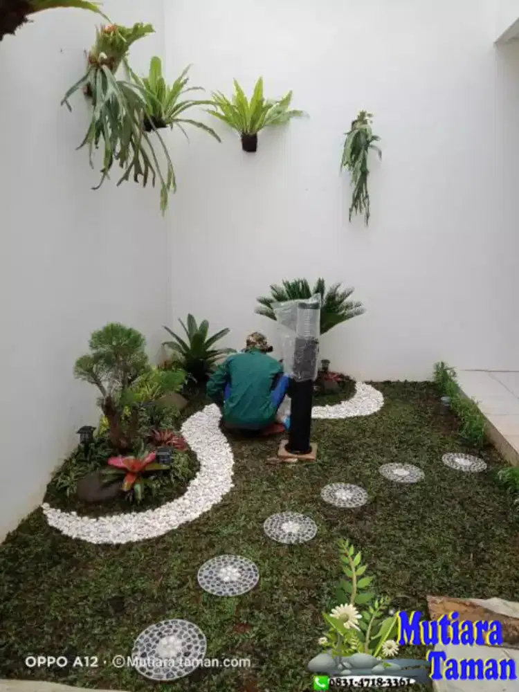 Tukang rumput gajah mini penjual rumput taman