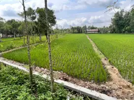 Buc pinggir jalan utama baypass gerung airport