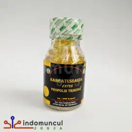 habbatussauda extra propolis trigona 200 kapsul, herbal imunitas,