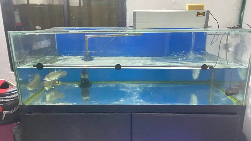 Aquarium tebel 1 cm, jual cepet!!!