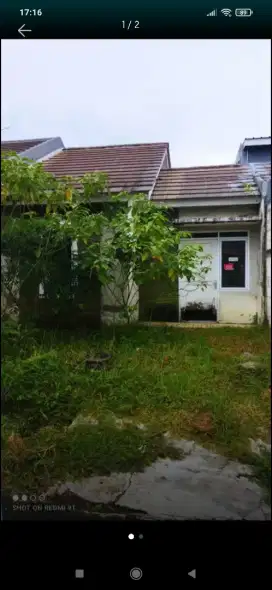 Di Jonggol luas tanah 90 bukit chrysant jual murah citra indah city