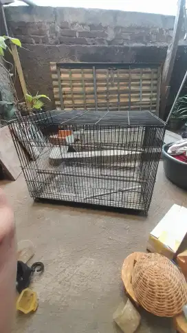 Kandang besi kotak