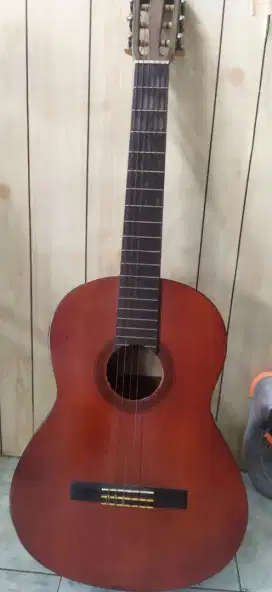 Guitar acoustic