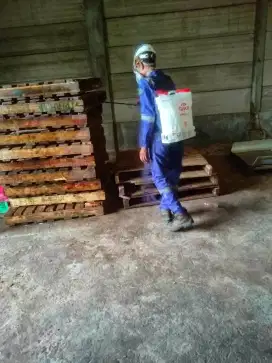 Pallet Kayu dan Marking Pallet
