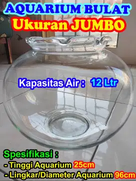 AKUARIUM/AQUARIUM FREE IKAN MOLLY DAN IKAN GLOFISH