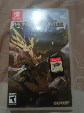 Monster hunter rise