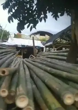 Bambu Kaso Cocok untuk Baliho atau Umbul²