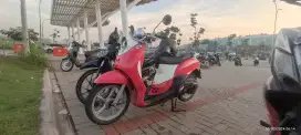 Fino thn 2013 ke adaan apa adanya