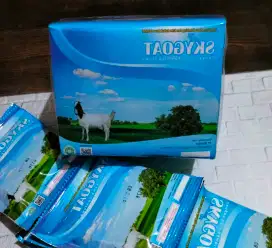 Susu kambing etawa skygoat