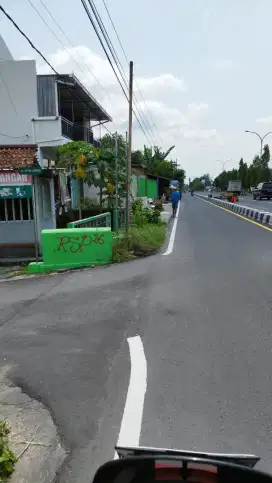 Kos putra anggrek