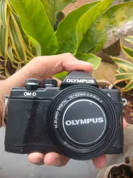 Olympus omd10 Mark ii