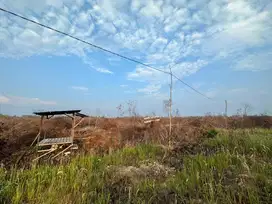 DIJUAL TANAH DEKAT JALAN BANDARA SYAMSUDIN NOOR BARU