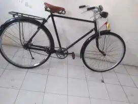 Speda kebo Fsiap mlaju.