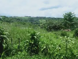 Di jual tanah dengan view bagus