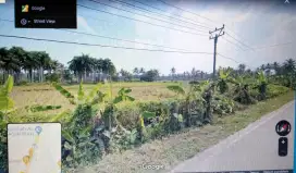 DIJUAL TANAH PREMIUM 41.666 m2 JALAN RAYA TANJUNG LESUNG BANTEN JABAR