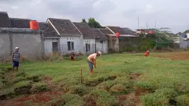 Tukang taman dan penjual rumput