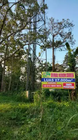 Jual tanah di Pabuaran, Kabupaten Serang, Banten 250.000/meter (nego)