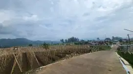 Dijual tanah strategis ciwidey 2200m2  5 MNT DARI JALAN BESAR