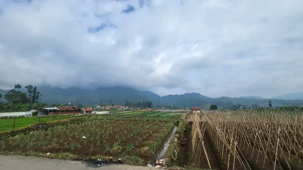 Dijual tanah strategis ciwidey 2200m2  5 MNT DARI JALAN BESAR