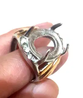 Cincin Titanium Kerangkanya