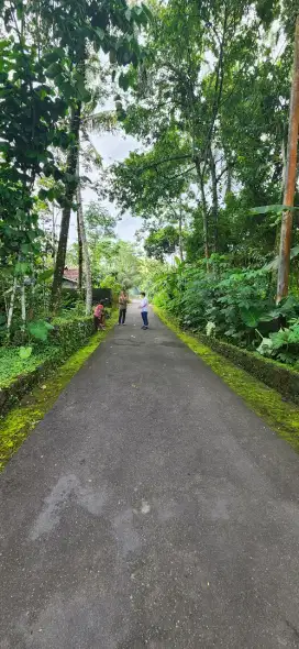 Dijual Sangat Murah Tanah di Kaliurang Yogyakarta