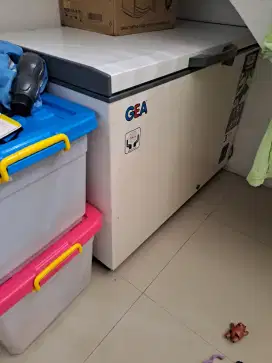 Gea Freezer barang istimewa jarang ada