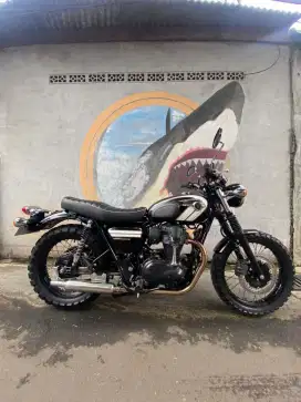 Kawasaki W800 2016