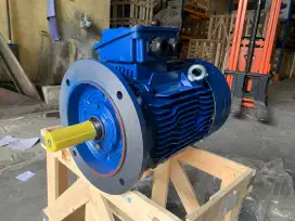 Dinamo flange 15hp rpm 1000