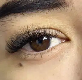 Eyelash extension