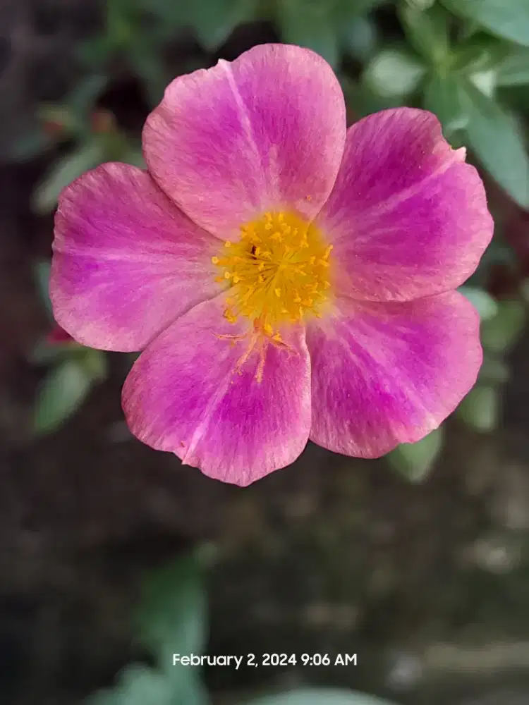 Jasa foto wedding, acara kantor dan ulang tahun