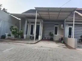 Canopy minimalis rangka tunggal atapnya alderon satu layer 28118